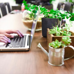 ホームページを公開しました。